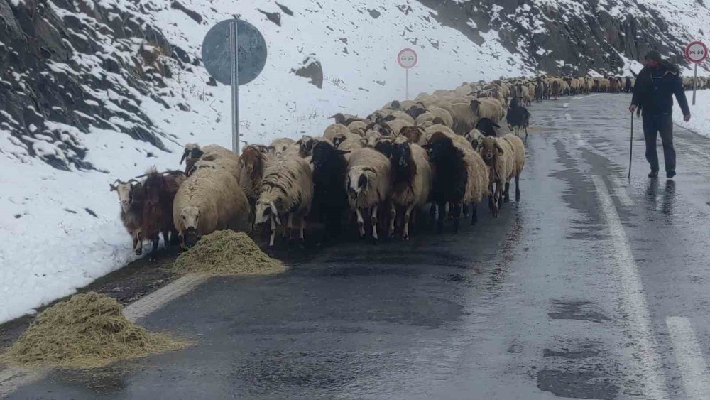 Çatak'ta besicilerin zorlu kış mesaisi başladı