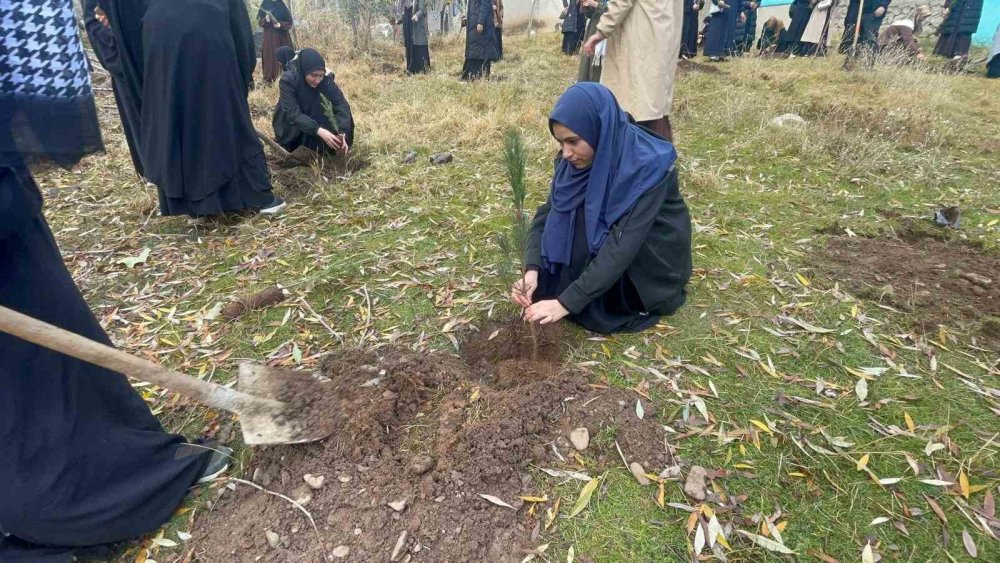 Muradiye’de "Hafızlar Hatıra Ormanı" oluşturuldu