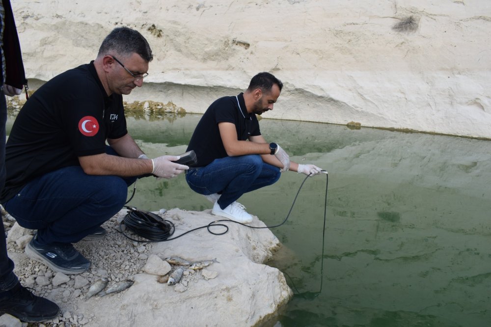 Dicle Nehrindeki balık ölümlerinin nedeni ‘nitrit zehirlenmesi’ çıktı