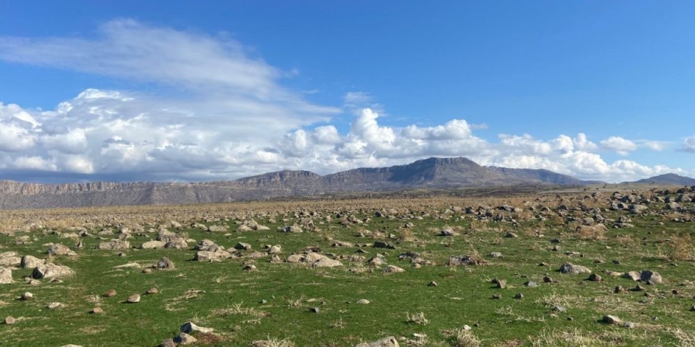 Güçlükonak’ın mera ıslahı projesi için yer tespiti yapıldı