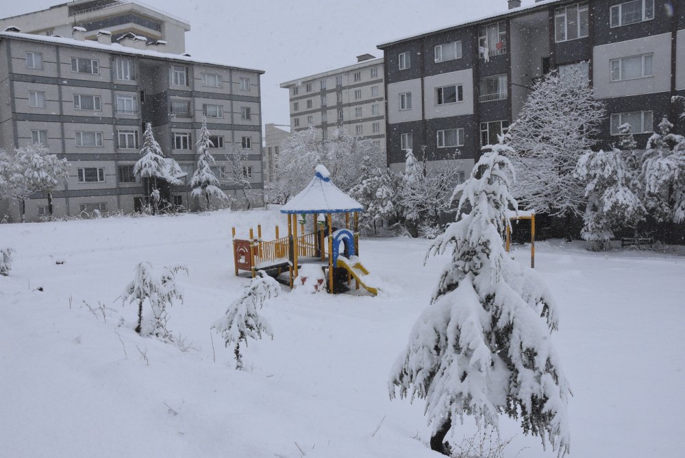 Bitlis'te kar yağışı yolları kapattı