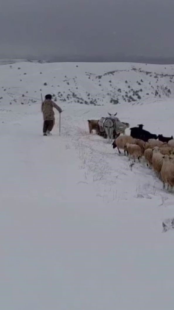 Çemişgezek'te sürü sahipleri kar ve tipiye yakalandı