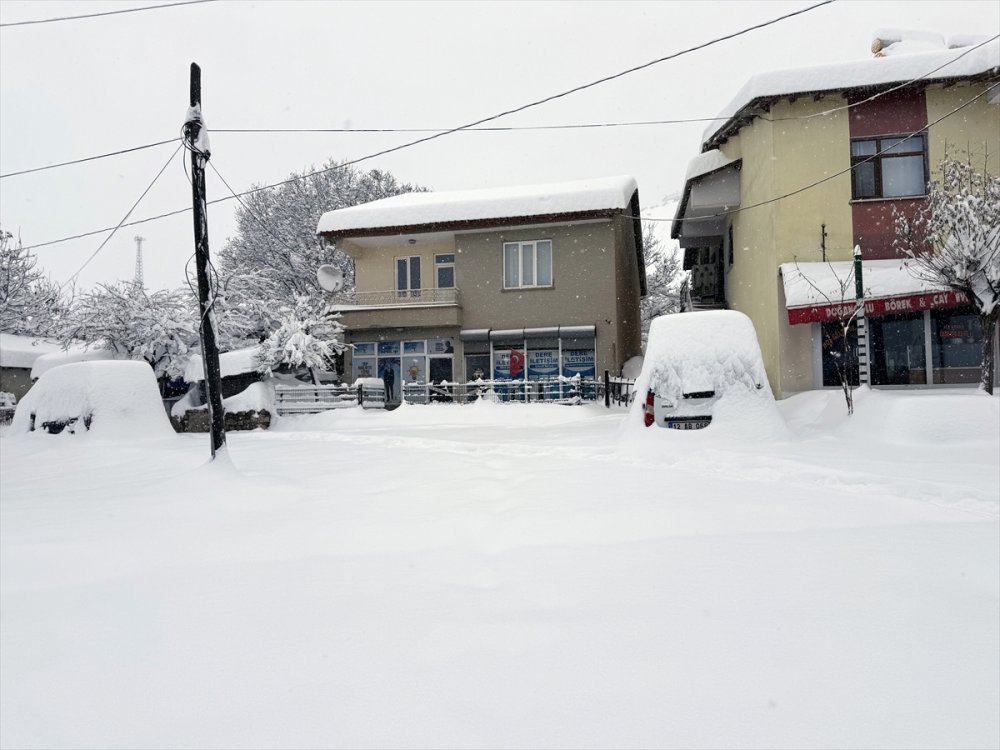 Elazığ ve Bingöl'de 318 yerleşim yerinin yolu kapandı