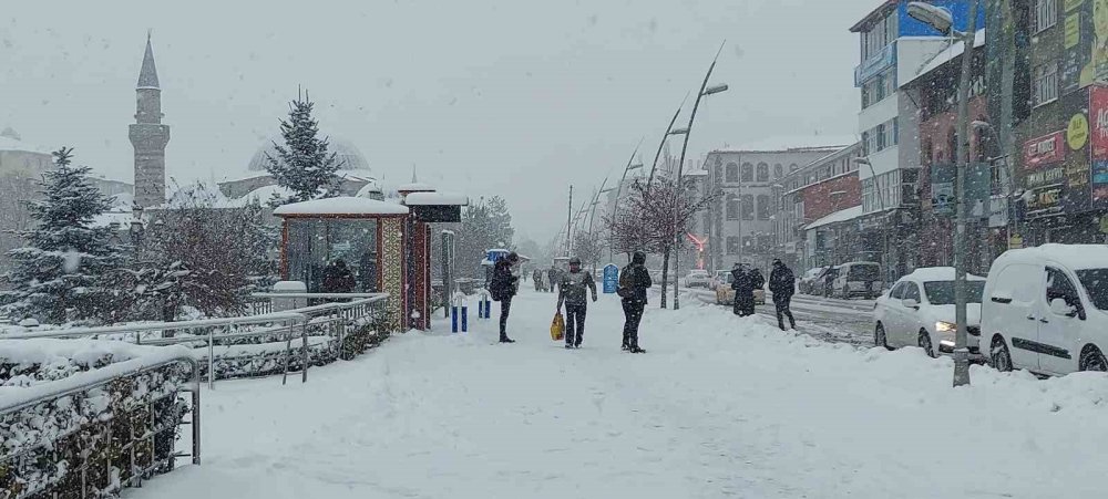 Kar Erzurum’u esir aldı