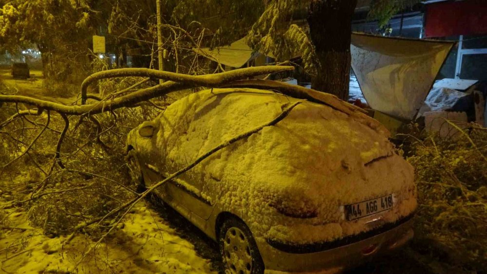 Kardan kırılan ağaç dalları araçların üzerine devrildi