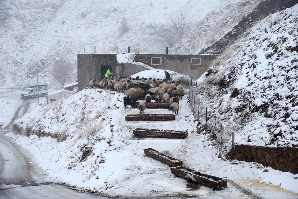 Muş ve Bitlis'te 154 yerleşim biriminin yolu kapandı