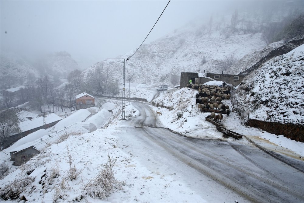 Muş ve Bitlis'te 154 yerleşim biriminin yolu kapandı