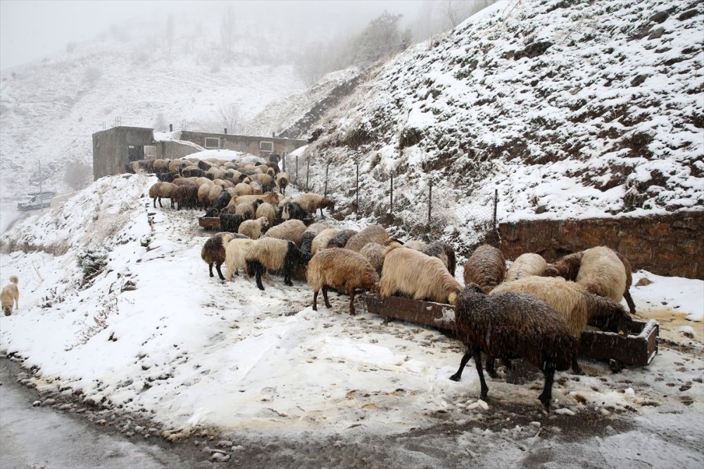 Muş ve Bitlis'te 154 yerleşim biriminin yolu kapandı