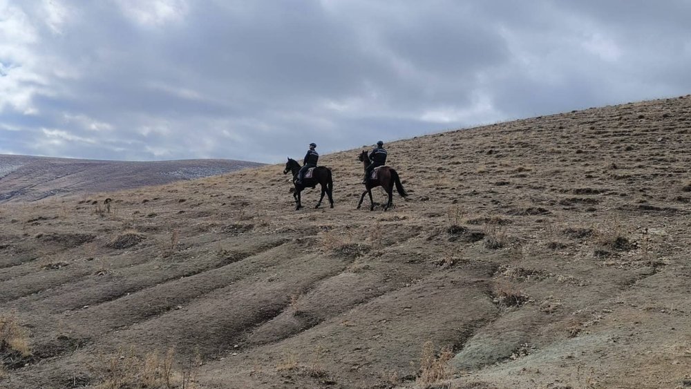 Van'da çeşitli suçlardan aranan 19 şahıs tutuklandı