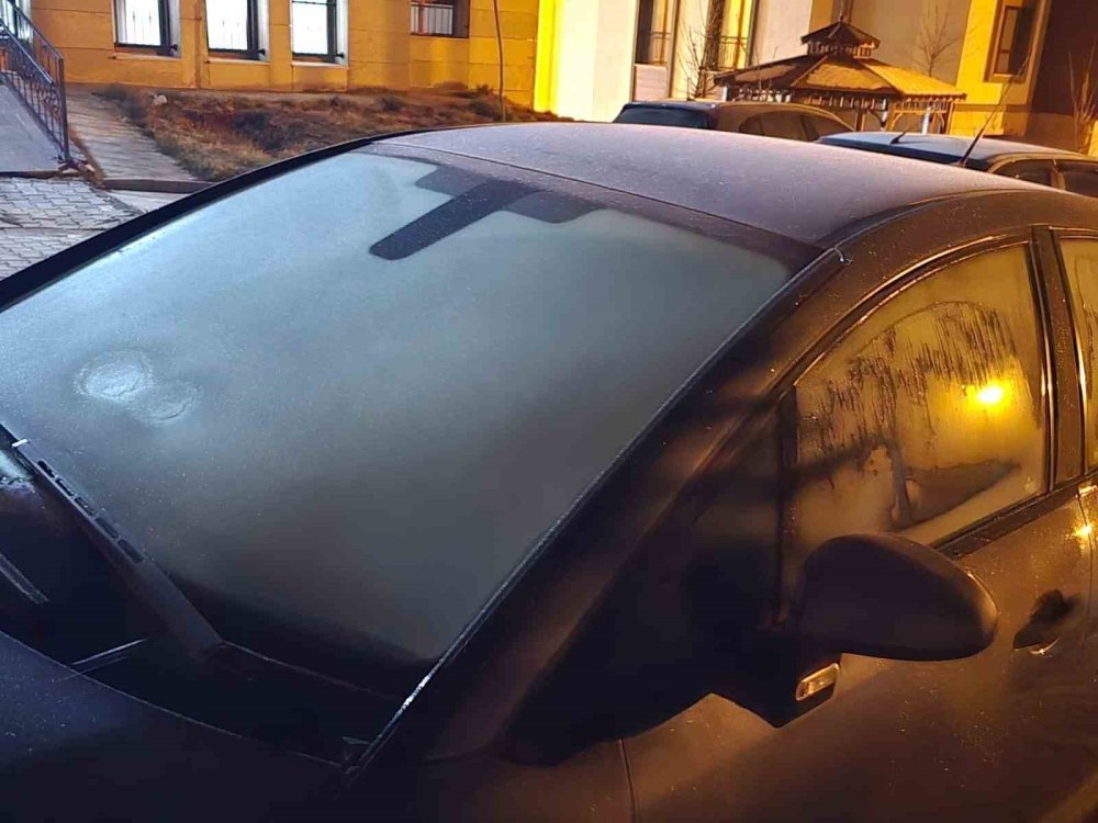 Elazığ’da araçlar ve ağaçlar buz  tuttu