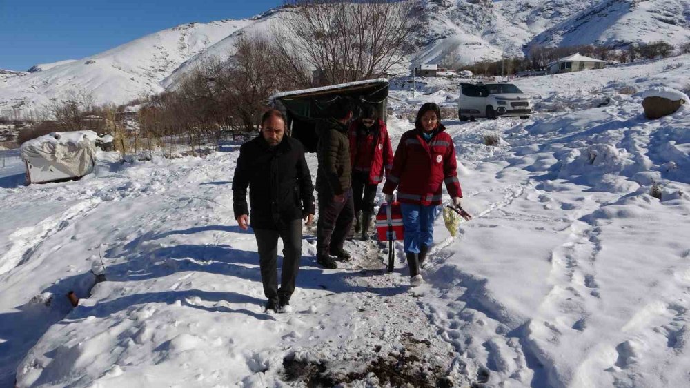 Van’da soğuk havaya rağmen aşı ve küpe çalışmaları sürüyor