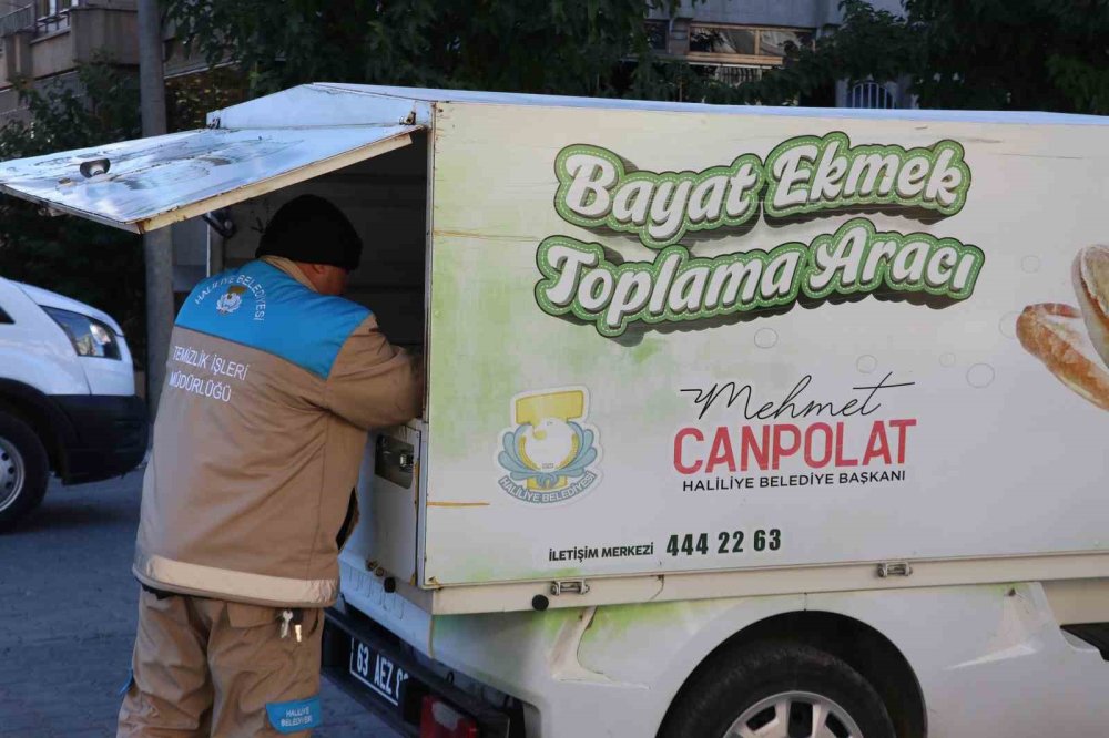 Haliliye'de Bayat Ekmek Toplama kutuları ile 11 ton ekmek israfı önlendi
