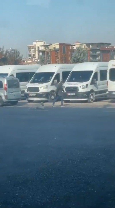 Urfa’da köpeğe eziyet kamerada