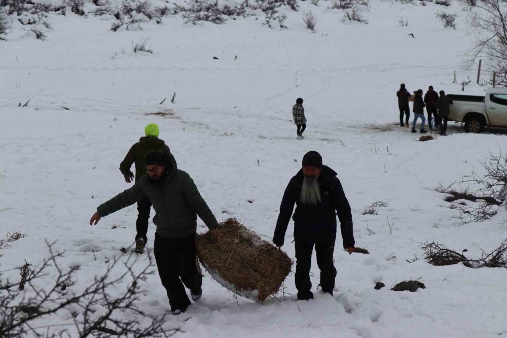 Erzurum’da doğaseverler yaban hayvanlarını unutmadılar