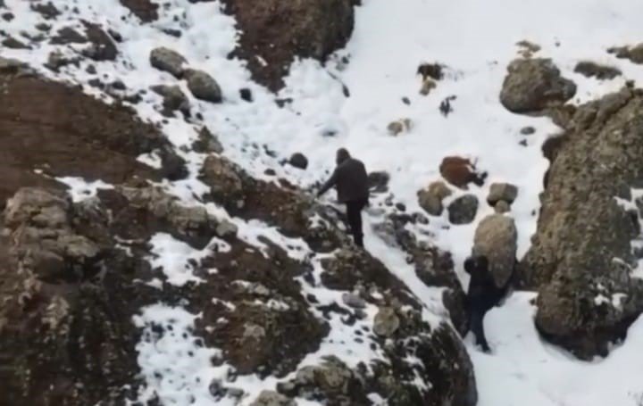 Dersim'de koruma altındaki 2 yaban keçisini avlayanlara 1 milyon 300 bin lira para cezası