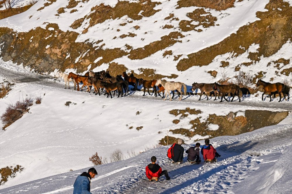 Bahçesaray: Gençler kızaklarıyla yayla yolunu kayak pistine dönüştürdü