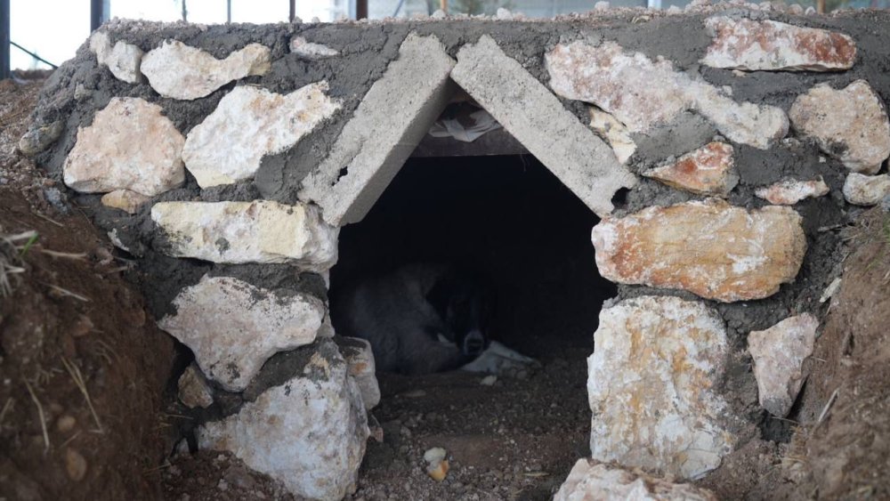 Adıyaman'da sokak hayvanlarına doğal yaşam alanı yapıldı