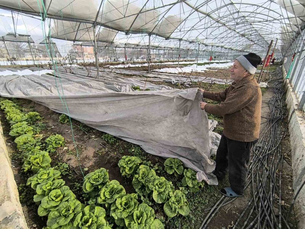 Kar yağışı seralara zarar verdi