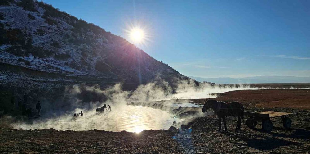 Bitlis'te eksi 15 derecede atların kaplıca keyfi