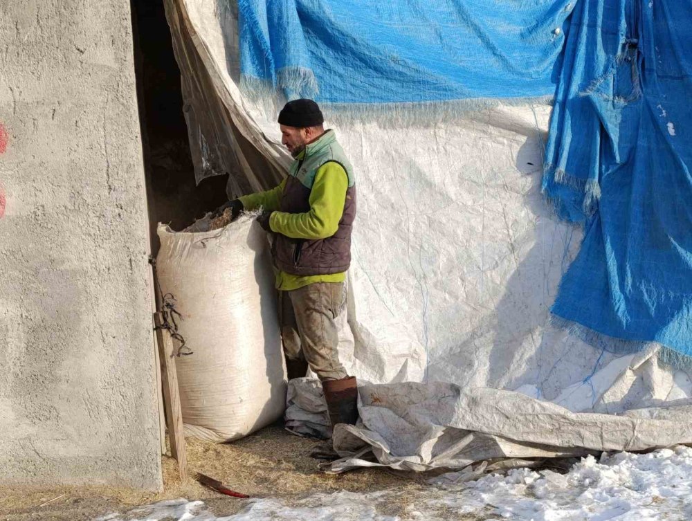 Sibirya soğukları Ağrı’da hayatı olumsuz etkiledi