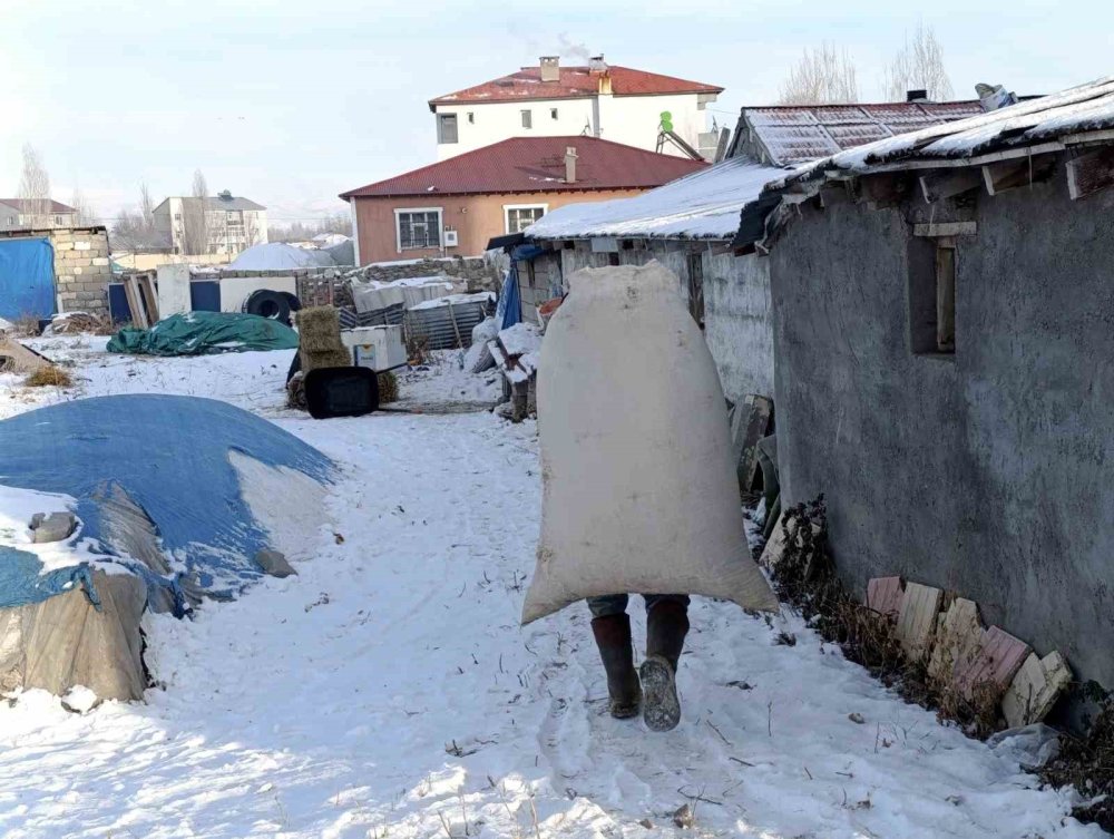 Sibirya soğukları Ağrı’da hayatı olumsuz etkiledi