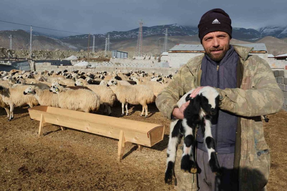 Erzincanlı üreticilerden çağrı: Tulum Peyniri bizden 100’e çıkıyor, markette 400 oluyor