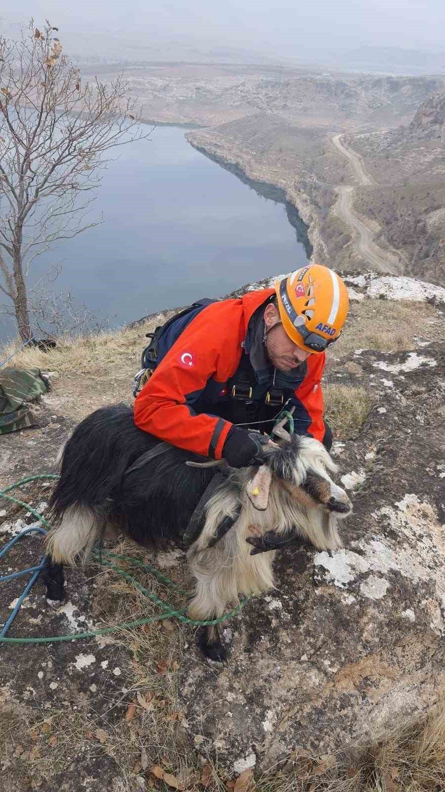 Batman’da bin 500 rakımda mahsur kalan keçi için kurtarma operasyonu düzenlendi