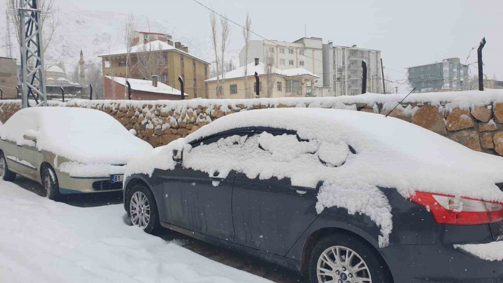 Başkale’de etkili olan kar yağışı sürücülere zor anlar yaşattı