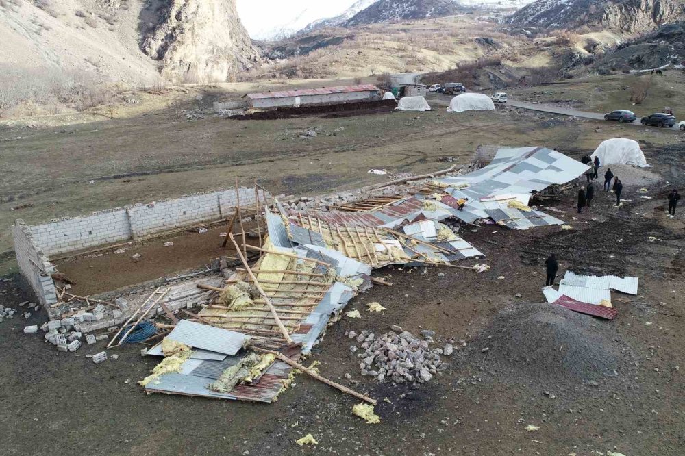 Fırtınanın çatısını uçurduğu ahır yıkıldı: 11 koyun öldü