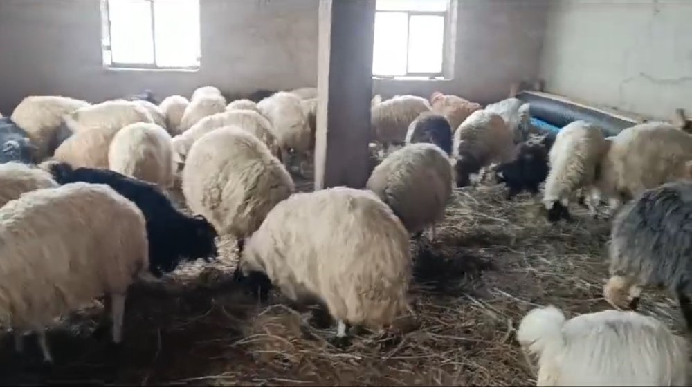 Van’da kardan 420 yerleşim yerinin yolu ulaşıma kapandı