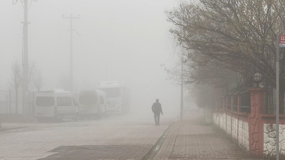 Diyarbakır'da uçak seferleri aksadı