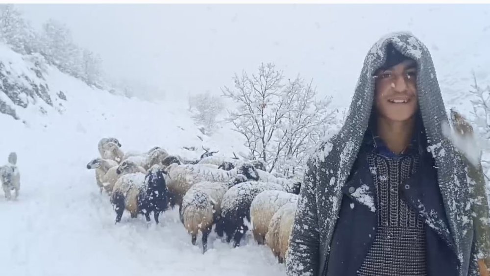 Muş’ta kar yağışı çiftçilerin hayatını olumsuz yönde etkiledi