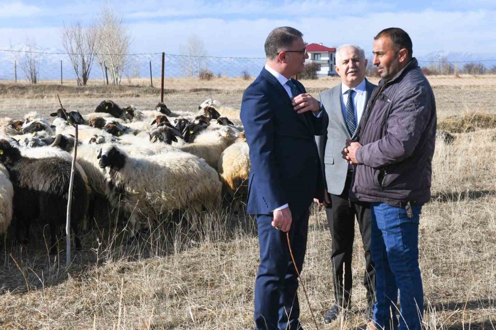 Van’da koyunculuk projesi başarıyla sürüyor