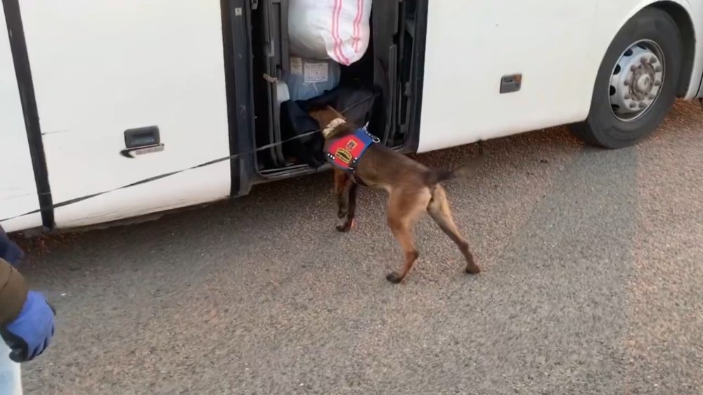 Urfa’da yolcu otobüsünde uyuşturucu ele geçirildi