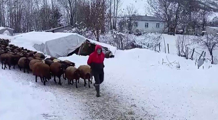 Karlıova'da besicilerin kar altında zorlu mesaisi