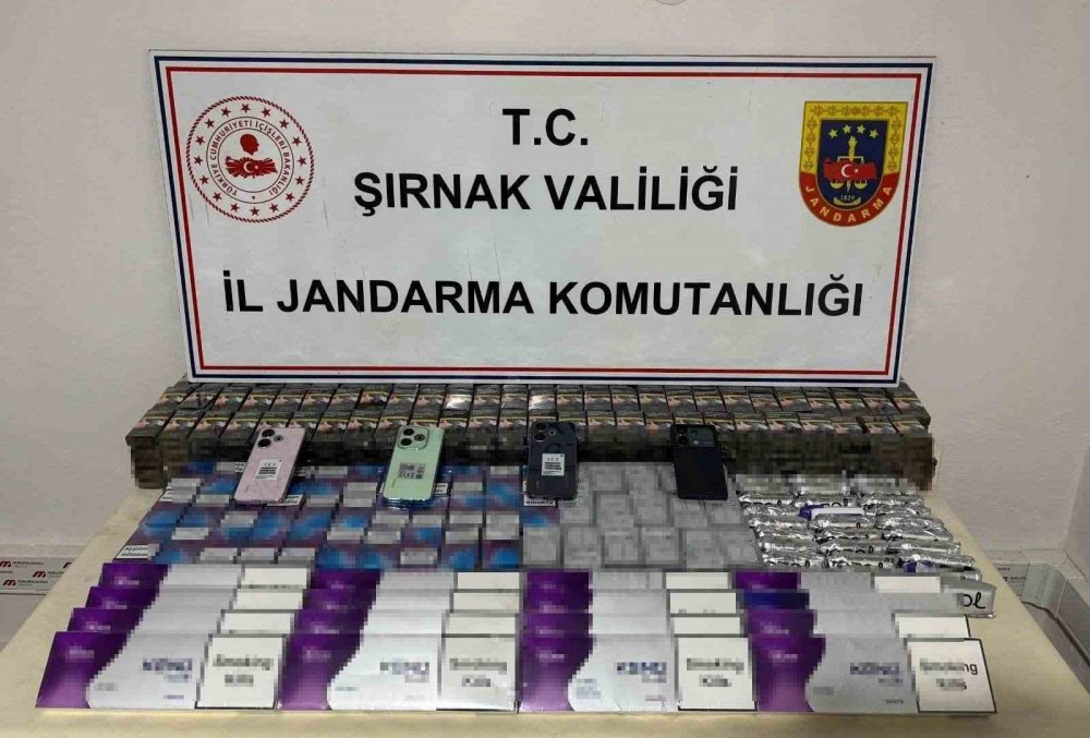 Şırnak’ta kaçakçılık operasyonu, 1 tutuklama