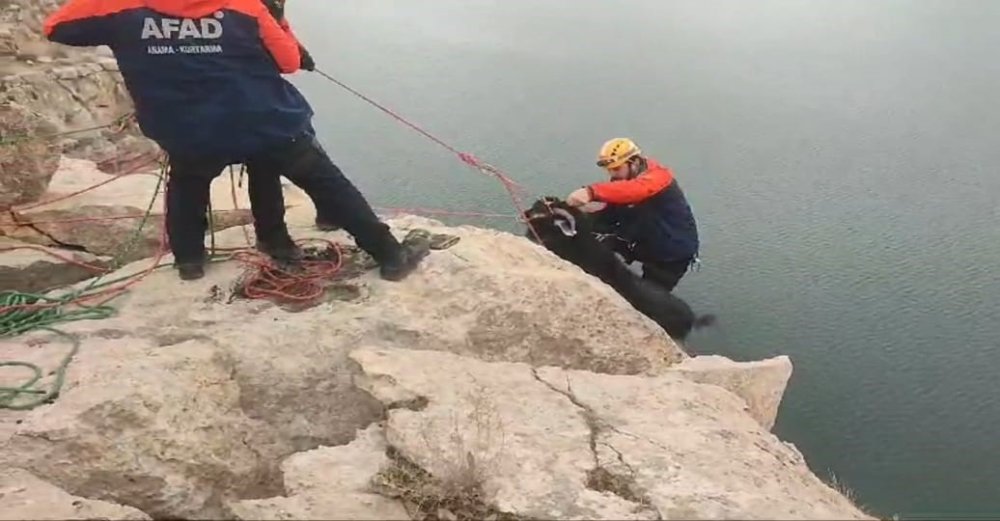 Kayalıklarda mahsur kalan 20 keçi AFAD ekiplerince kurtarıldı