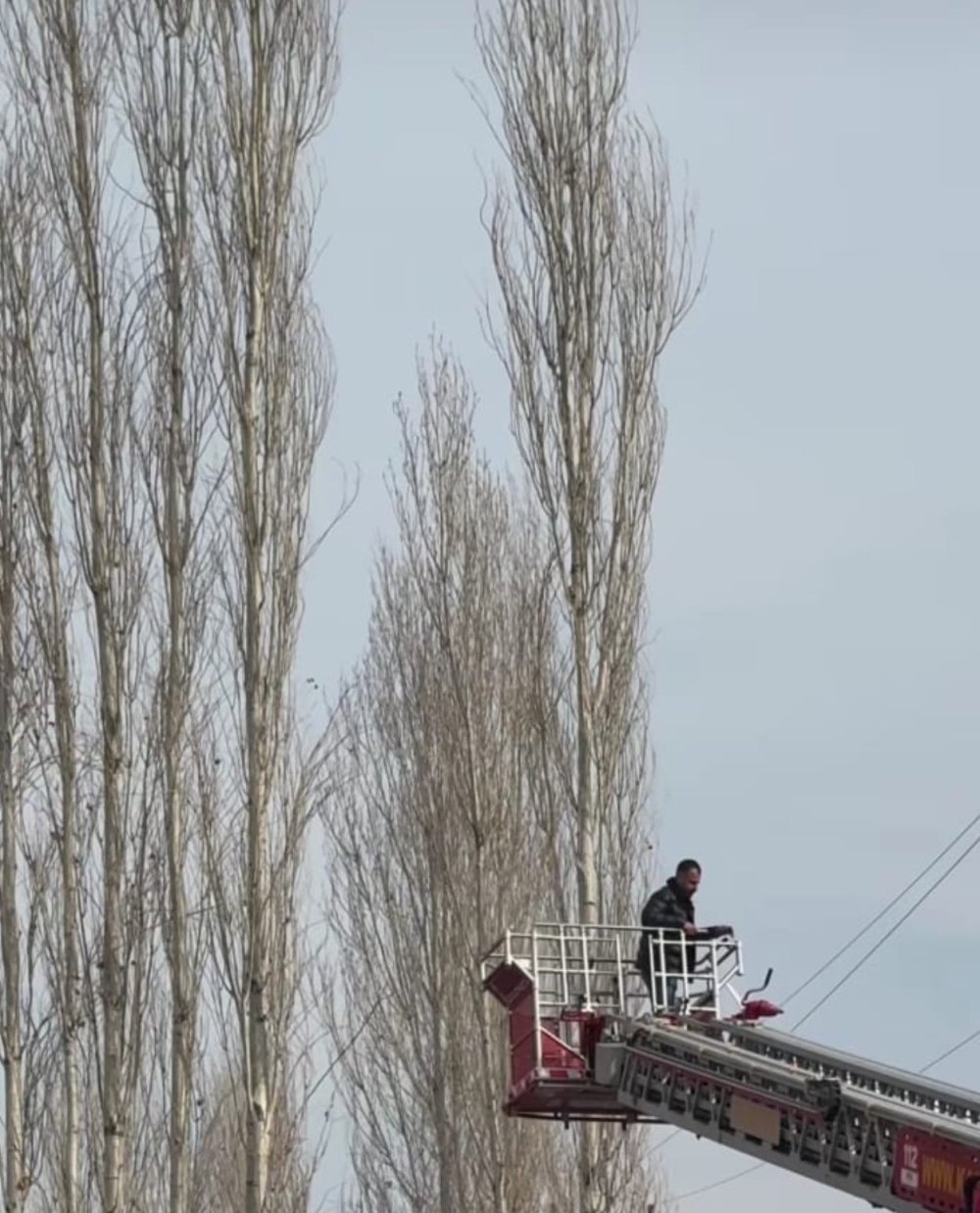 Düğünde uçurulan dron ağaçlara takıldı, yardıma itfaiye ekipleri yetişti