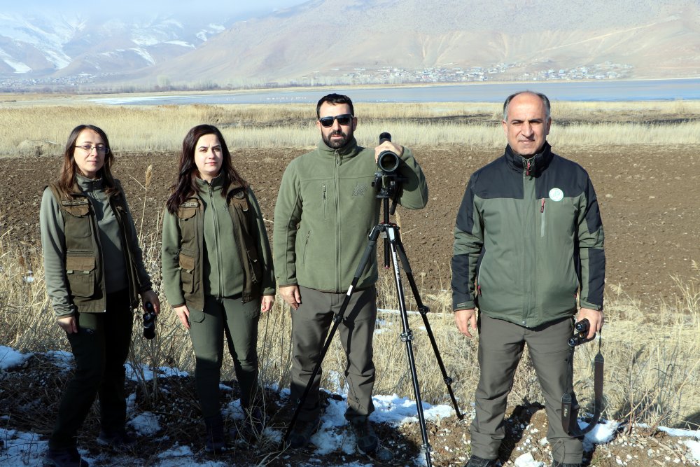 Van Gölü Havzası'ndan göç etmeye kuşlar korunuyor