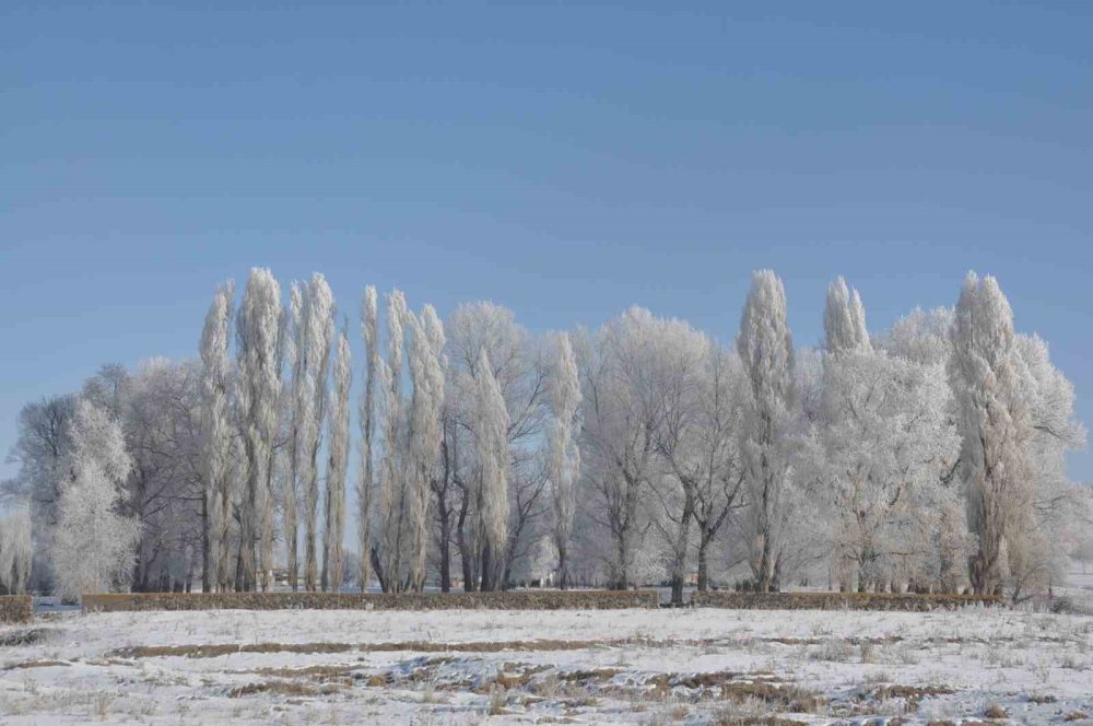 Kars'ta hava sıcaklığı iyice düştü ağaçlar kırağı tuttu