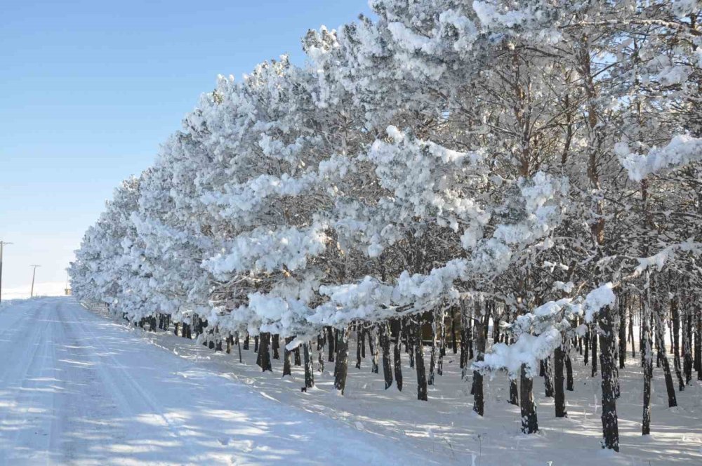 Kars’ta soğuk hava etkili oldu