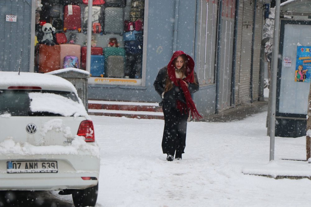 Van'da kar yağışı etkili oldu