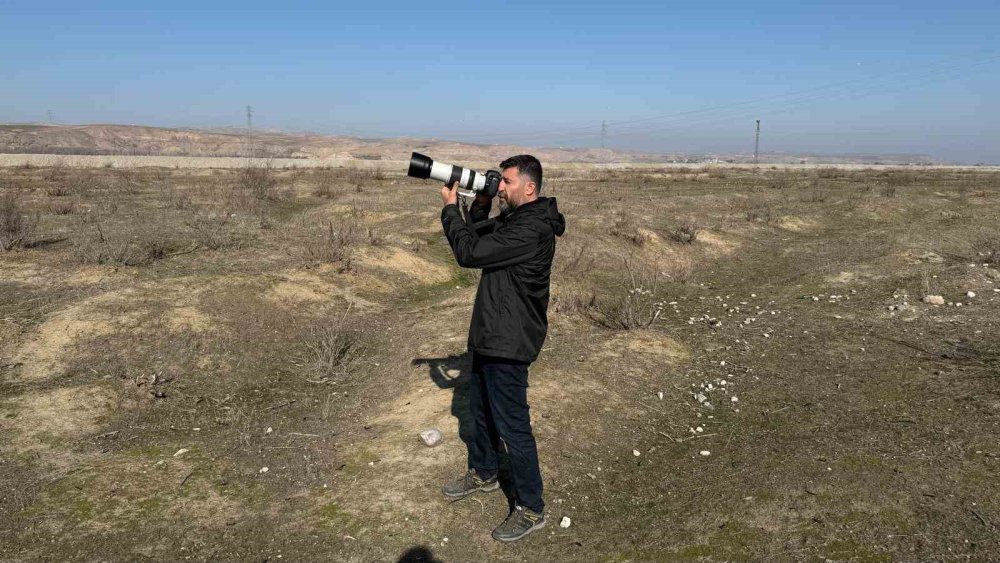 Dicle Nehri havzasında leyleklerin uzun yıllardır göç etmediği gözlemlendi