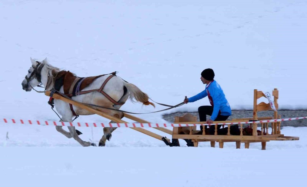 Erzurum’da atlı kızak heyecanı yaşandı