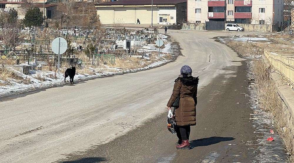 sokak-kopekleri1.jpg