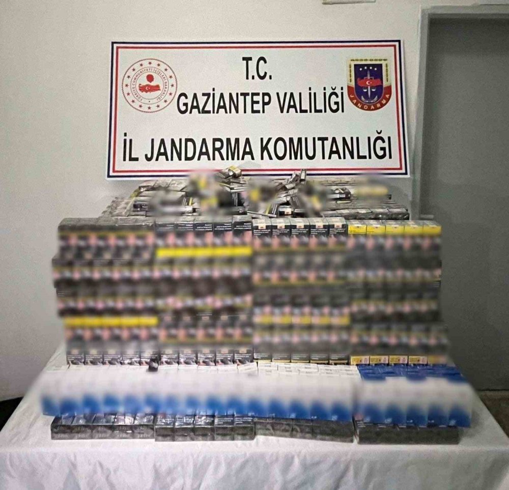 Antep'te jandarmadan operasyon: 282 şüpheli yakalandı