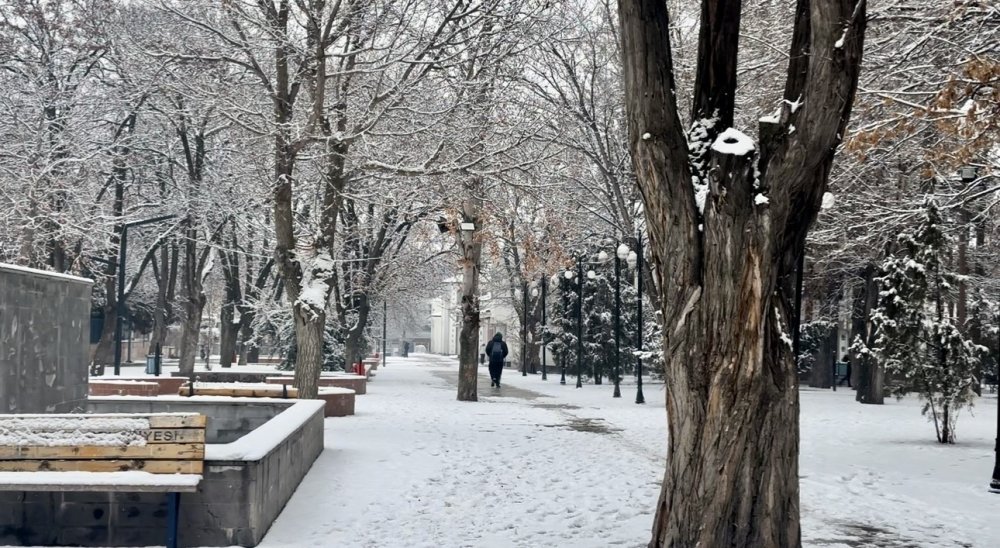 Erzincan'da kar yağışı etkili oldu, ekipler harekete geçti