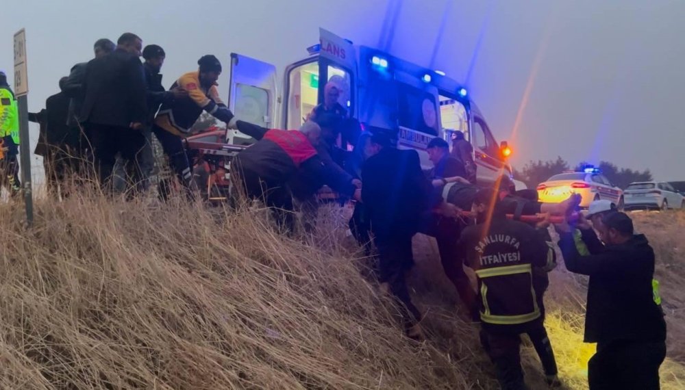 Urfa’da otomobil ağaca çarptı: 4 yaralı