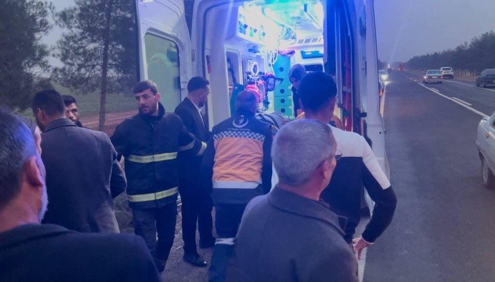 Urfa’da otomobil ağaca çarptı: 4 yaralı