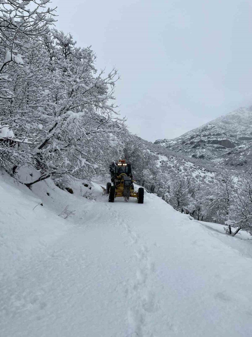 Tunceli’de, kardan kapanan yolların çoğu açıldı